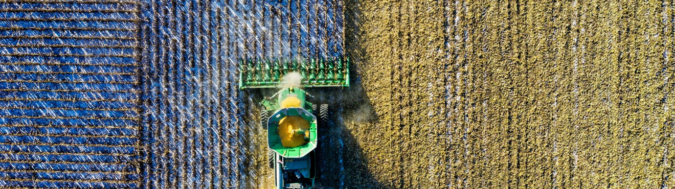 Agricoltura di precisione: come le aziende agricole si stanno adattando alle nuove tecnologie | AgriCook