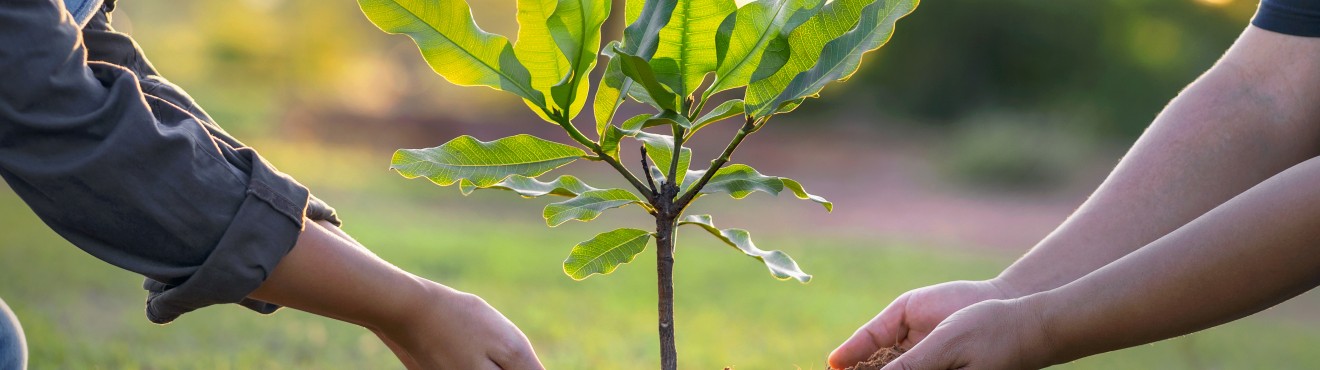 Agricook: la soluzione innovativa per le aziende agricole che vogliono crescere | AgriCook