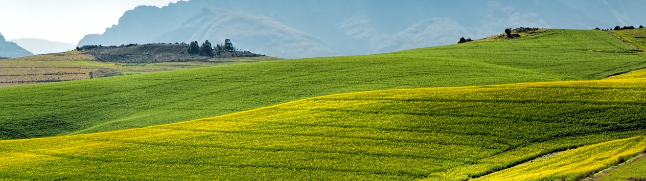 L importanza dell agricoltura sostenibile nel futuro del nostro pianeta | Agricook