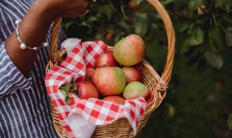 Alla scoperta dei produttori a km0 per una cucina eco-friendly | AgriCook