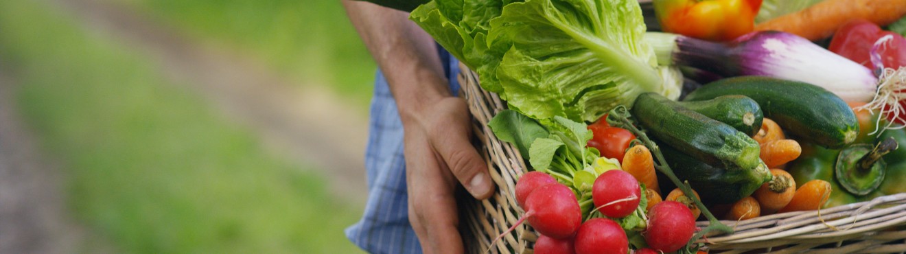 Rivoluziona il tuo business agricolo con Agricook - Iscriviti ora e vedrai i risultati | AgriCook