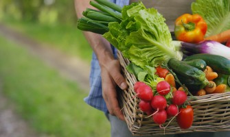 Rivoluziona il tuo business agricolo con Agricook - Iscriviti ora e vedrai i risultati | AgriCook