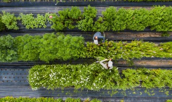 Il futuro delle aziende agricole: tecnologie innovative e nuovi modelli di business | AgriCook