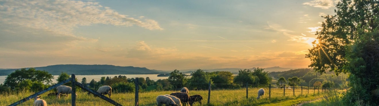 Aziende agricole e biodiversità: l importanza della conservazione delle varietà locali | AgriCook