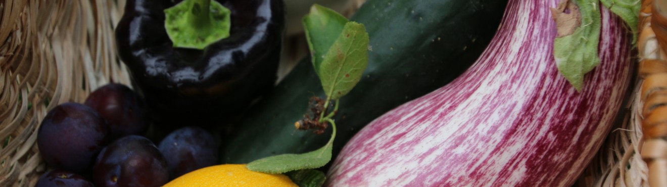 Filiera corta prodotti italiani: un impegno per il futuro | AgriCook