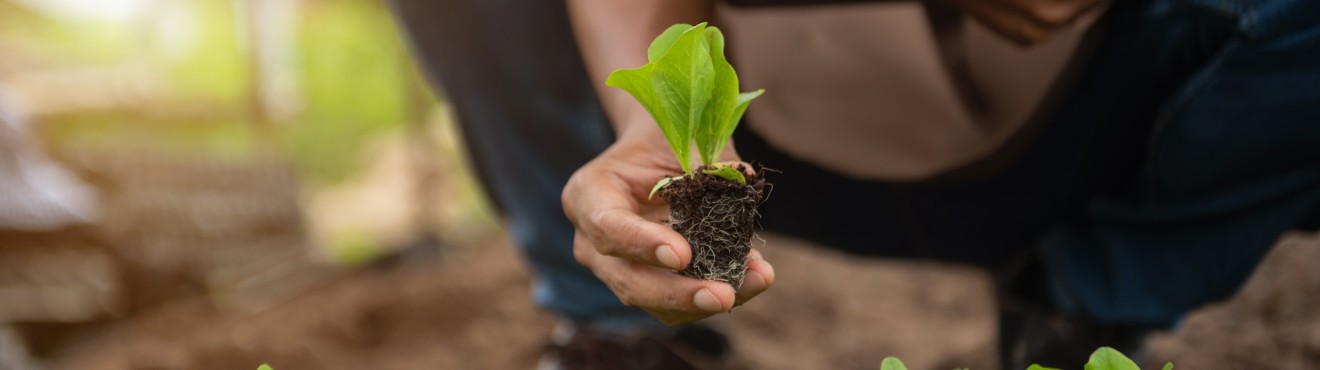 Marketing aziende agricole: come Agricook può aiutare a far crescere il tuo business | Agricook