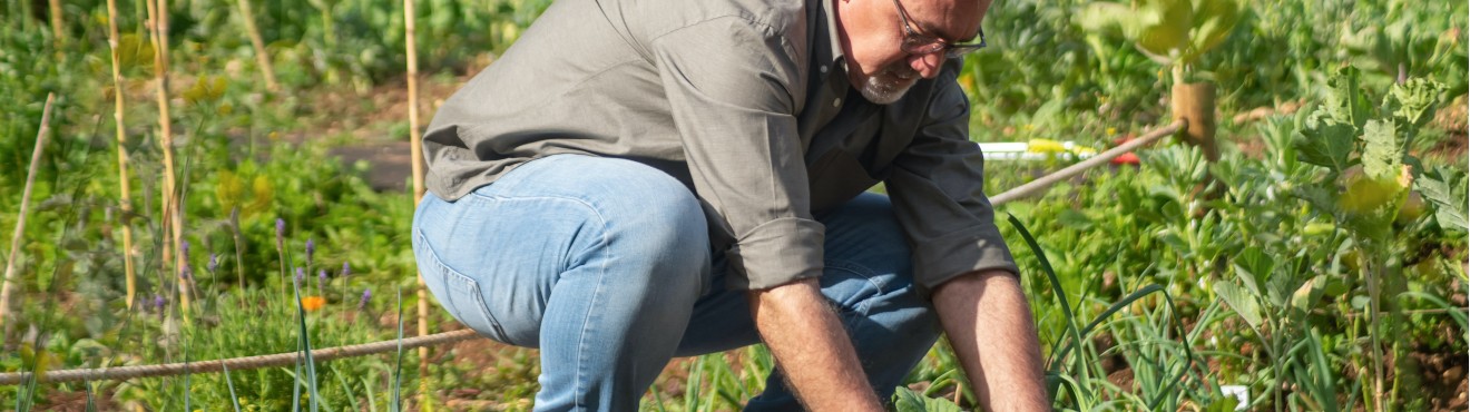 Coltivare un orto biologico in casa: la guida definitiva per i principianti | Agricook