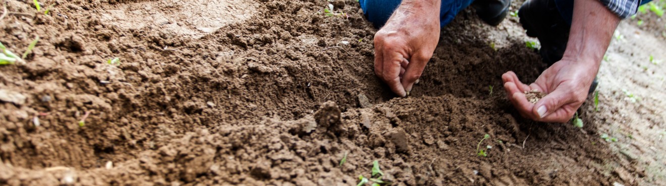 Produttori locali italiani: il segreto di un alimentazione sana | AgriCook