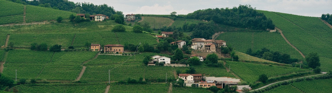 Agriturismi in Piemonte: La Destinazione Perfetta per una Vacanza Rilassante e Ricca di Esperienze | Agricook