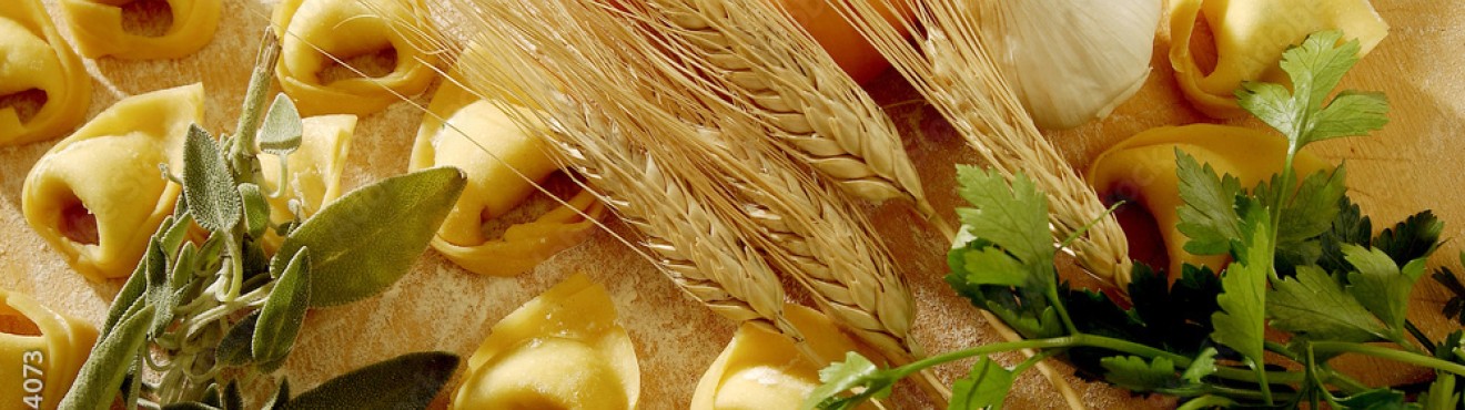 Prodotti agroalimentari italiani: una storia di passione e qualità | AgriCook