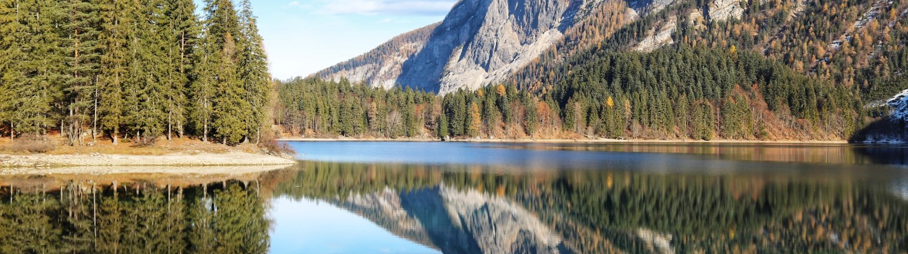 Scopri la bellezza incontaminata del Trentino- un avventura nei più affascinanti agriturismi | Agricook