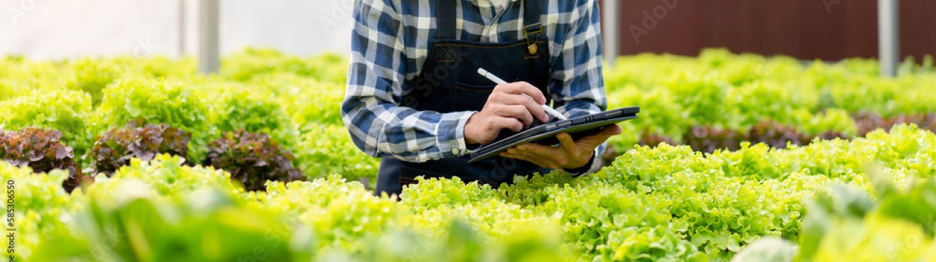 Vendi i tuoi prodotti agricoli su Agricook: un opportunità da non perdere