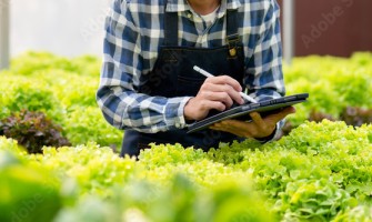 Vendi i tuoi prodotti agricoli su Agricook: un opportunità da non perdere