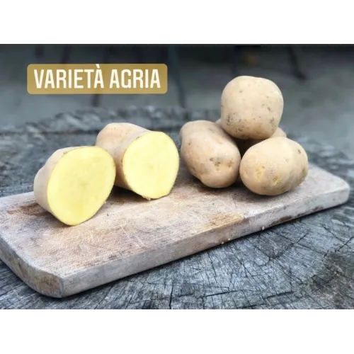 Azienda Agricola Savinelli - Vendesi patate da semina, pasta