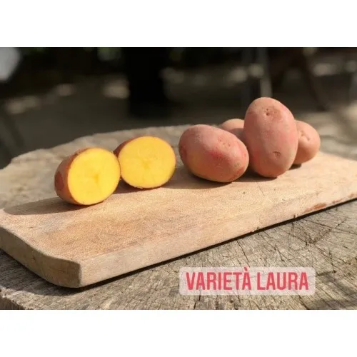 10 kg di patate laura rosse spedizioni inclusa nel prezzo