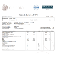 Olio evo 100% coratina in bottiglia da 1 lt