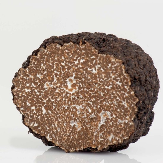 Tartufo nero estivo fresco 100g