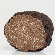 Tartufo nero estivo fresco 500g