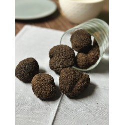 Tartufo nero uncinato fresco 250 g