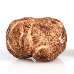 50 g tartufo bianchetto o marzuolo (prima scelta 7-30g)