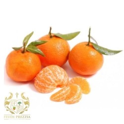 Clementine di ribera 12 kg