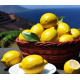 Limone siciliano bio 9 kg sped.gratuita