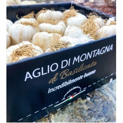 Aglio di montagna cassetta da 2,8 kg