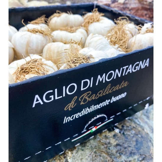 Aglio di montagna cassetta da 2,8 kg