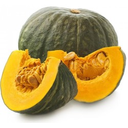 Zucca delica