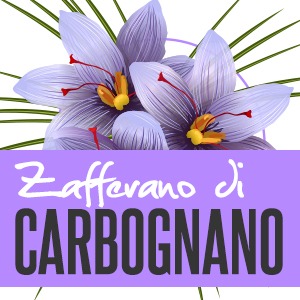 FATTORIA CARBOGNANO