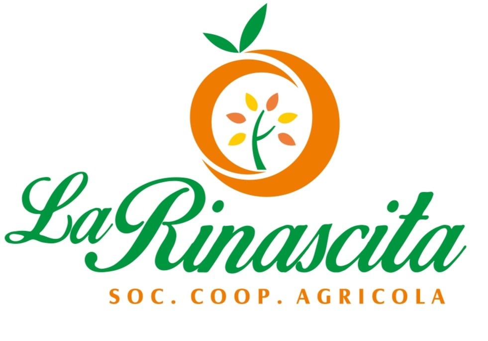 LA RINASCITA